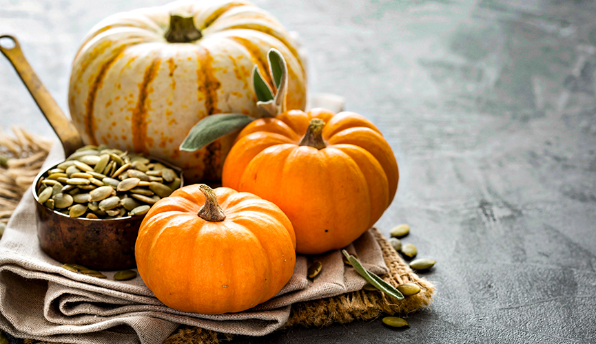 Herbstküche – Kürbis kaufen Herbstküche - Kürbis kaufen