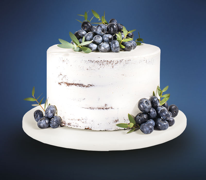 Heidelbeer-Naked-Cake - Torten-Kreation