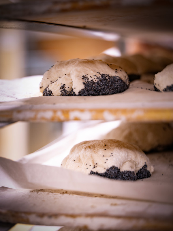 Steinofenbrötchen mit Mohn vor dem Backen